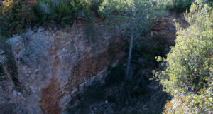 Una desena de doctorands en geologia visiten la falla del Camp i exploren com comunicar sobre risc sísmic a la població