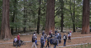 Nous itineraris teatralitzats accessibles que fusionen natura i arts escèniques a la Xarxa de Parcs Naturals